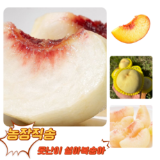 [굿피플] 황금당도 못난이 겨울복숭아 설아복숭아 복숭아, 1개, 못난이 설아복숭아 2kg