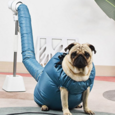 강아지 드라이 룸 반려동물 애견 건조기 고양이 드라이 룸 용품 목욕타올, XL