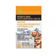 메이플트리 장용성 100억 프로바이오틱스 생유산균 60정 1박스 2개월