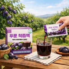 착즙주스 푸룬쥬스 프룬주스 변비주스 소르비톨 푸룬효능, 1박스, 70ml
