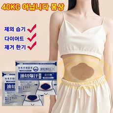 당일배송/지방태움/배꼽다이어트/지방부종제거/관리/재팬쑥복부다이어트패치 10매입, 5매, 2개