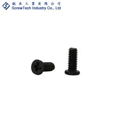 【銳禾】工廠直營 M2.5x6 I頭 十字槽 機械牙 鍍黑鋅 100入 特殊螺絲 IAM0250601D-2, 1個