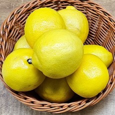 제주 레몬 1kg, 1개, 상세페이지 참조