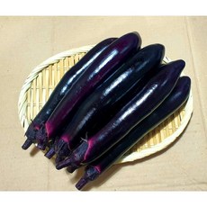 가락시장 당일경매 싱싱한 가지 상 5개