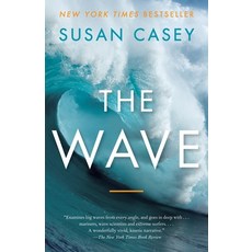 (영문도서) The Wave: In Pursuit of the Rogues Freaks and Giants of the Ocean Paperback, Anchor Books, English, 9780767928854