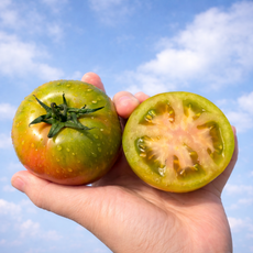 달콤짭짤 대저 짭짤이 토마토 특품, 1박스, 1kg 로얄과(3S-S)