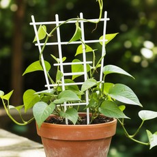 Green Mist 綠色山嵐 彈性藤蔓架 盆栽植物攀爬架 室內園藝裝飾 簡約白色格紋, 1個