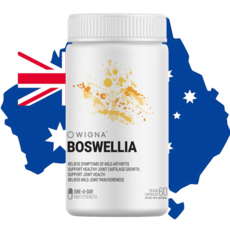 호주면세점 위그나 호주산 보스웰리아 10000 500mg x 60캡슐 관절영양제, 1개, 60회분