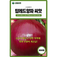 산들마켓 탑레드 양파씨앗 1000립 숙기 빠르고 진한 적색의 중만생종 적양파씨 종자, 1개
