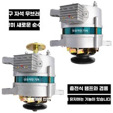 정전압 발전기 모터 교류 트랙터 고출력 전기 미니 500W 일반 12V 이중 바퀴, 1개