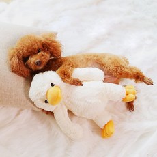 큐트스마트 강아지용 오리 봉제 인형, 1개, 화이트