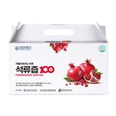 원광한방생활건강 석류즙, 30개, 70ml, 30개