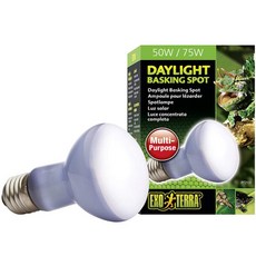 데이라이트 바스킹 스팟 램프 50W / 거북이 조명 파충류 램프