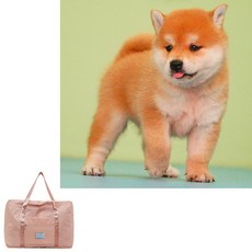 ilani 旅行手提包 健身包 游泳包 摺疊旅行包 乾濕分離包 防水袋 拉桿行李袋, 粉色,大號46/21/39, 1個