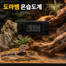 보물찾기 파충류 자석형 부착식 온습도계 도마뱀 크레 사육장 고정식 색상 블랙, 1개, 자석형 블랙