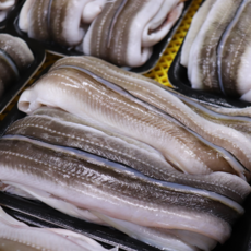 [통영1번] 자연산 바다장어 손질 붕장어 장어 아나고, 1개, 5kg