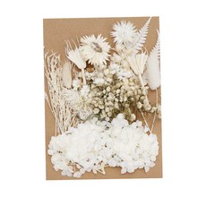 shangren 1Bag 말린 꽃 DIY 스크랩북 공예에 대 한 건조 수지 공예 보석, 5-12CM, 하얀