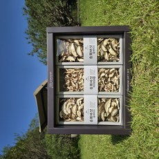 [산지직송] 저온건조 송화버섯 슬라이스 버섯밥용칩 선물세트, 1개, 600g 건조 송화버섯 선물세트