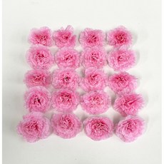 카네이션 조화 꽃머리, 20개, 핑크