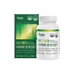 뉴일리 바디 케어 다이어트 엔 유산균17 체지방감소 다이어트 보조제 450mgx60캡슐