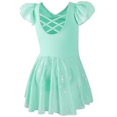 DIPUG 여아용 발레 레오타드 스커트 포함 반짝이는 유아 댄스 레오타드 나비 핑크, 초록색