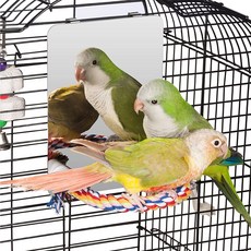 COLORDAY스테인레스 스틸 앵무새 거울새 횃대 새장 스탠드, 스테인리스강, 스테인리스강, 1개