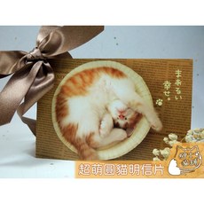 紳士貓舖 可愛又霸氣的空白明信片, 1個