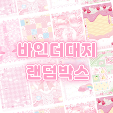 [120장] 바인더대지 랜덤박스 / 비공굿 포토카드 헤더택 인덱스대지 콜렉트북 바인더 아이브 포카 공굿 탑로더, 1세트