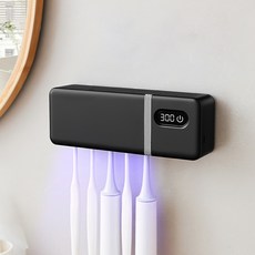 DelightZone 열풍건조 UV-C LED 가정용 칫솔 살균기 칫솔 거치대, 블랙, 621 PRO