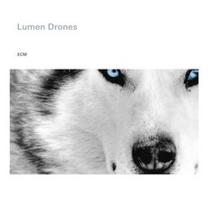 핫트랙스 LUMEN DRONES - LUMEN DRONES