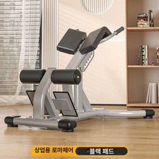 척추 기립근 머신 백익스텐션 복근운동기구 자세 향상 근육운동 척추기립근머신 실내 운동