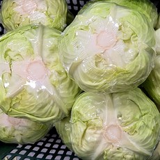 제주 양배추 통양배추 제주도양배추 생 양배추 생채 속편한음식 반찬거리 양배추 즙 용 양배추, 1개, 3kg