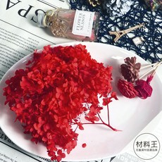 永生木繡球 單色安娜繡球 不凋花 乾燥花材, Ｉ 深紅,小盒裝// 約５克