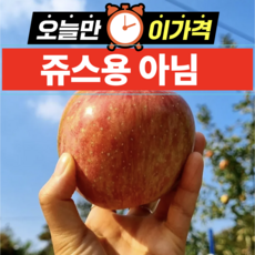 [쥬스용아님] 초특가할인 토X쇼핑1위 선별 못난이사과, 1박스, 3kg