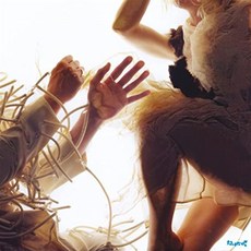 LUMP : Animal, 1CD