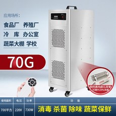 오존발생기 220v 가정용 매장 살균기 5g 냄새 발생기 생성기 오존 제거, 파워 70g 업그레이드 모델