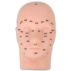 한의원 마네킹 혈자리 지압 훈련용 침구학 인형 인체, 1개