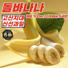 해발 700m 고산지 돌 바나나 3송이 (송이당1.0-1.2kg), 1개, 상세페이지 참조
