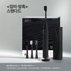 누마 전동칫솔 플라그제거 어르신 회전 깔끔 선물 음파진동, 스탠다드락블랙음파