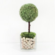 모스트리 순록이끼나무 핸드메이드 스칸디아모스, 민트, 1개