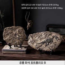 공룡화석 모형 뼈 티라노사우루스 장식 모델 공룡피규어 화석모형 조형물, F