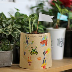 그림봉투화분 씨앗식물재배체험키트 6종, 방울토마토