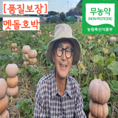 [산지직송] 25년 국산 무농약 늙은 멧돌 맷돌 호박, 1개, 3kg 이내 1개