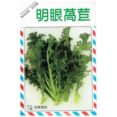 明眼萵苣種子, 1包