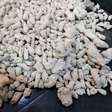 P老闆水族 珊瑚骨 珊瑚石 珊瑚砂 鹼性魚缸底砂 PH調節 過濾造景底材, 1個, 500克