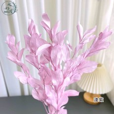 大好屋 永生玉竹葉 捧花配花 葉材 網美拍照, 1個, 【淺紫】小份_玉竹葉