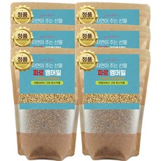 에코홀릭 25년산 햇 이탈리아 파로 쌀 엠머 밀 파로 곡물, 6개, 1kg