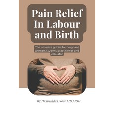 (영문도서) Pain Relief in Labour and Birth Paperback, Independently Published, English, 9798310999466