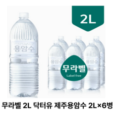 무라벨 제주용암수, 2L