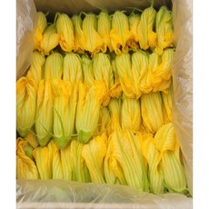 호박꽃 10송이 특수채소 가니쉬 식용꽃, 10개, 50g